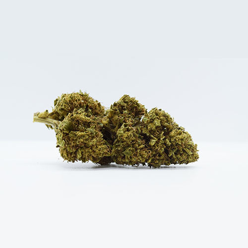 CBD Therapy